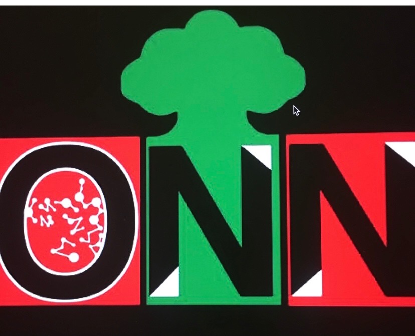 Finfinne News Network